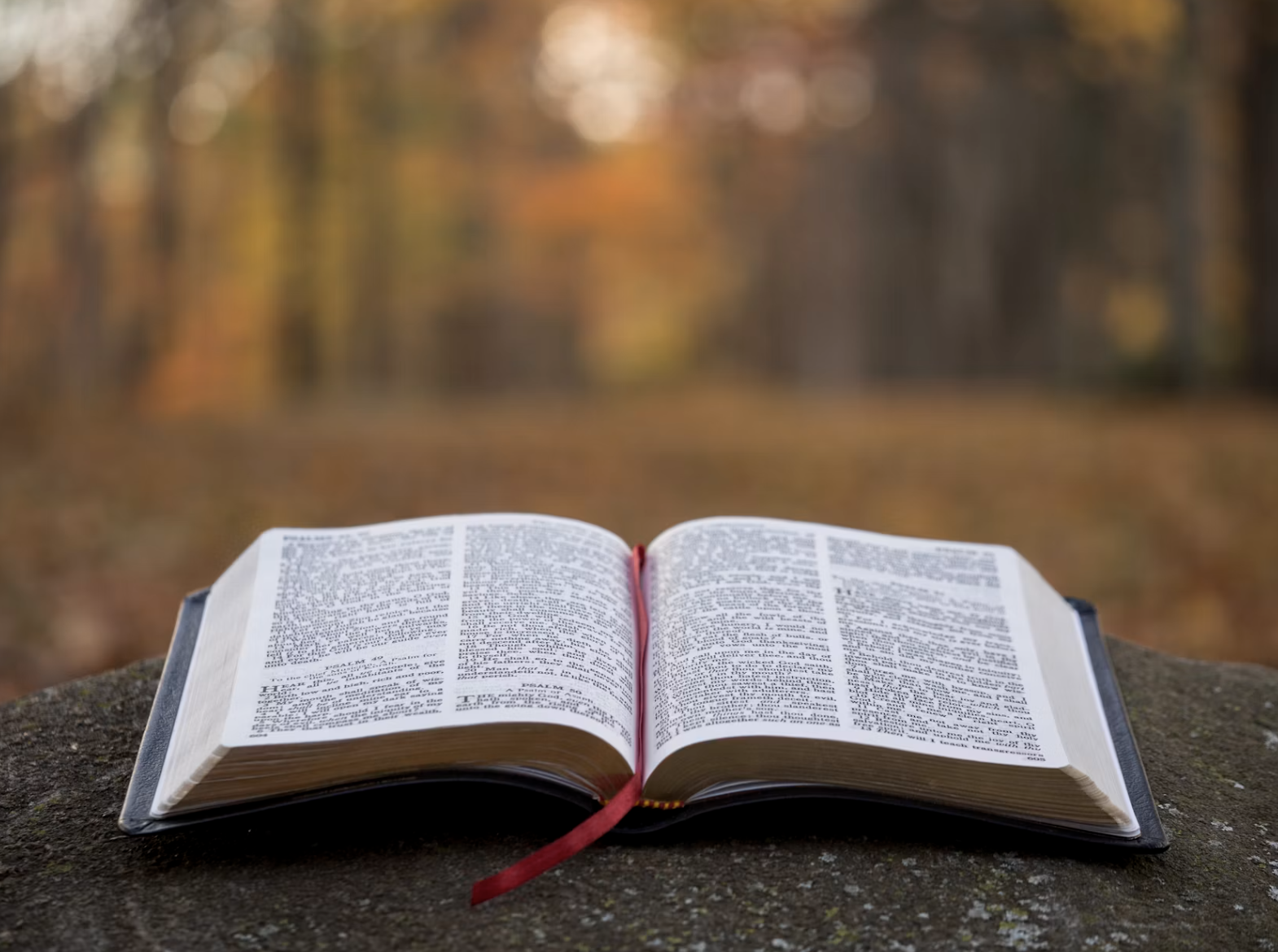 Jesus-the-Priest Issue Image